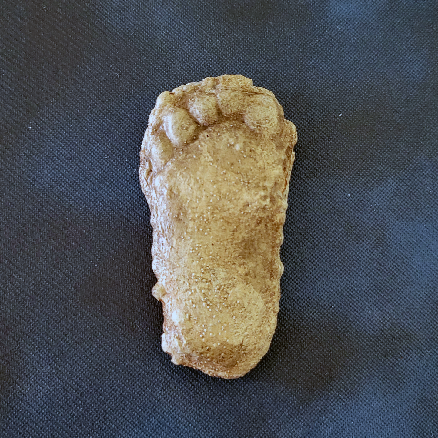 "Bigfoot Plaster Cast" 3D Sculpted Magnet