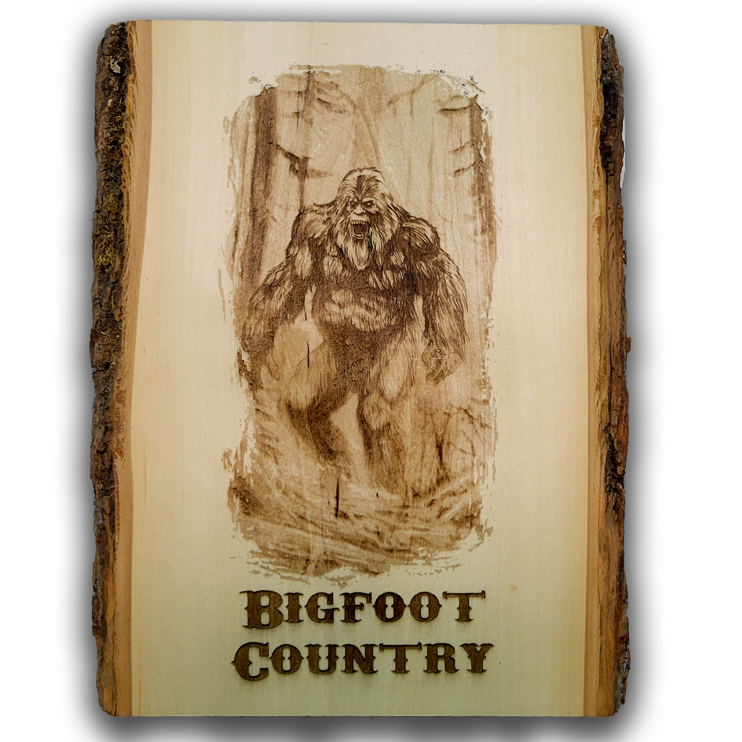 Bigfoot Country - Engraved Wood Panel