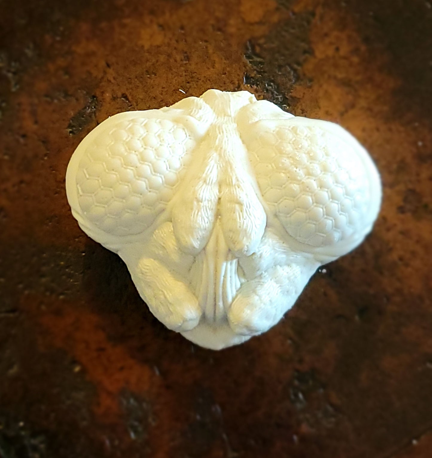 Mothman cryptidcurosities