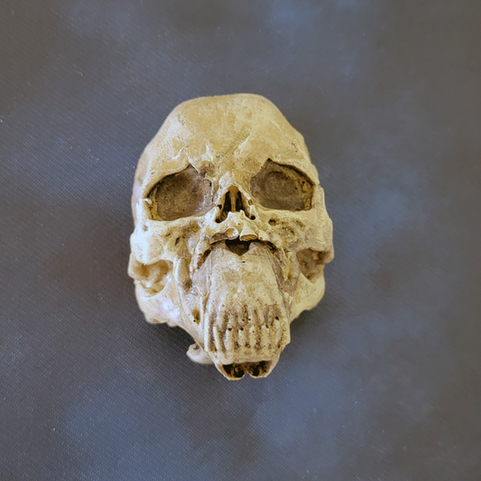 Werewolf Skull - Transformed: 3D Sculpted Magnet